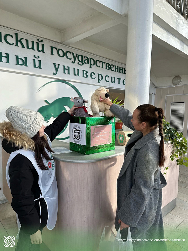 Описание изображения