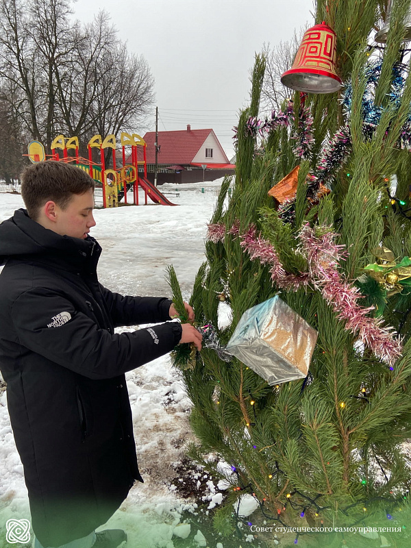 Описание изображения